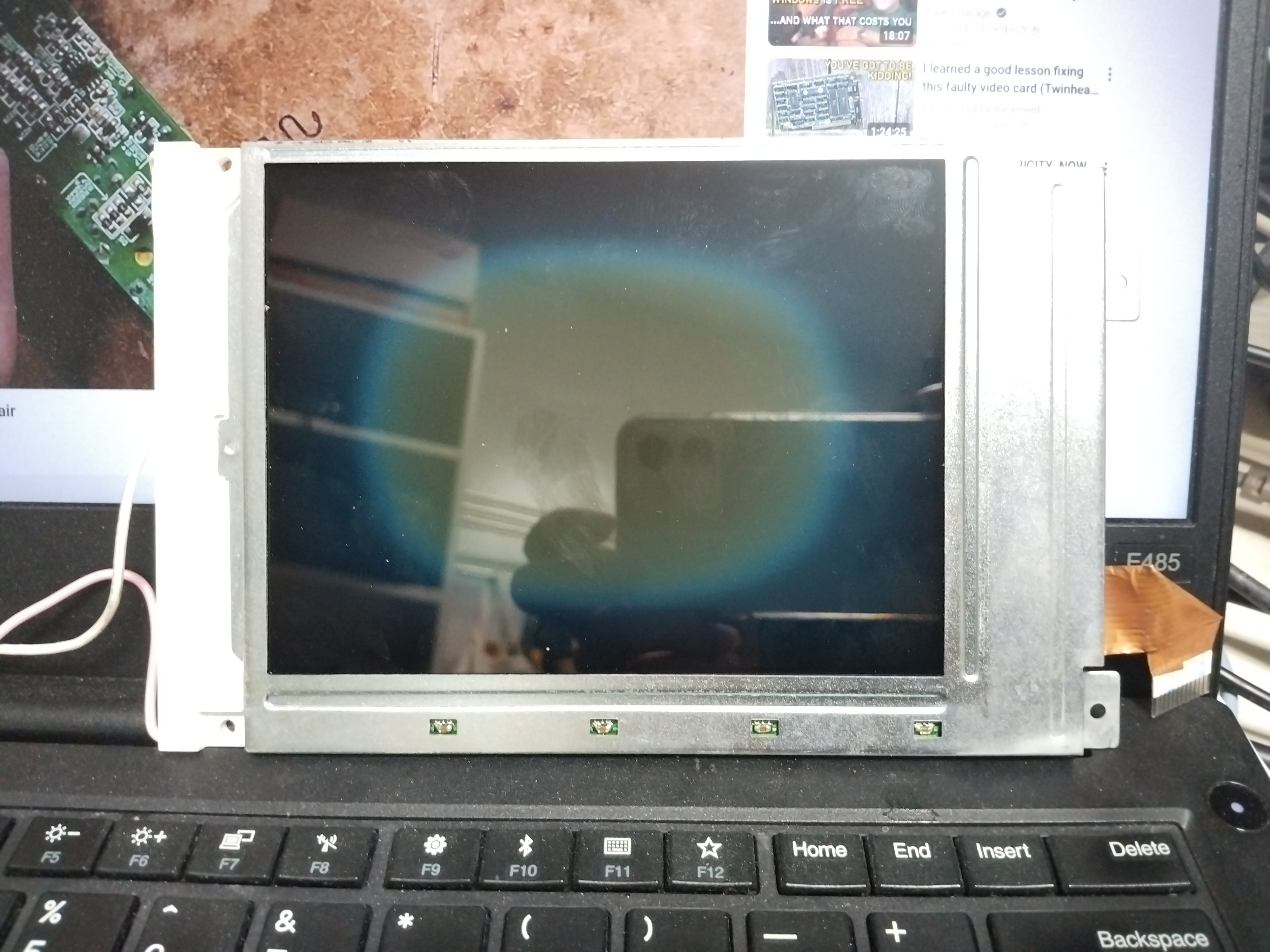 250419_hojak_7602805d6fe7db44ac92dce94a3